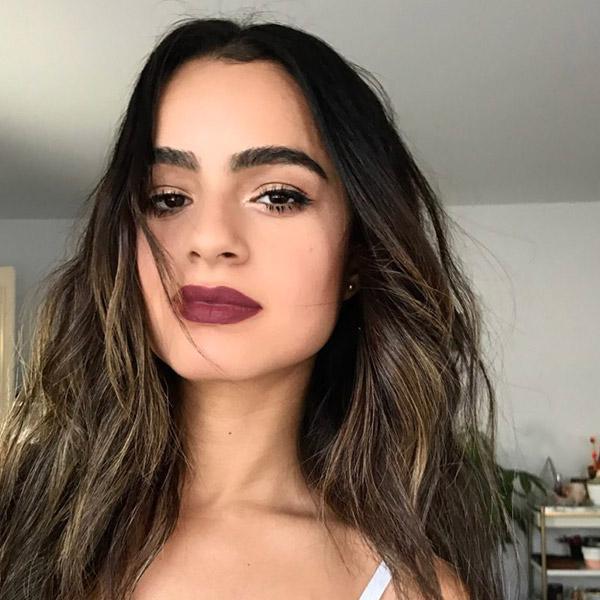 Hibiscus Lipstain 2